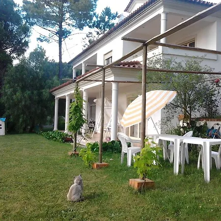 Privatunterkunft Quinta Do Pinhoeiro