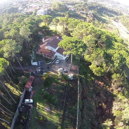 Privatunterkunft Quinta Do Pinhoeiro Leiria